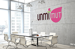 UNMO logo mural